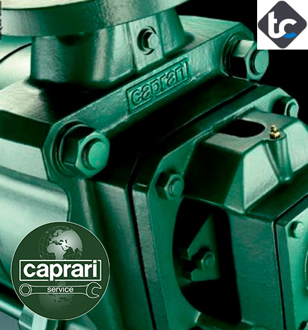 revisione riparazione e collaudo pompe Caprari Service